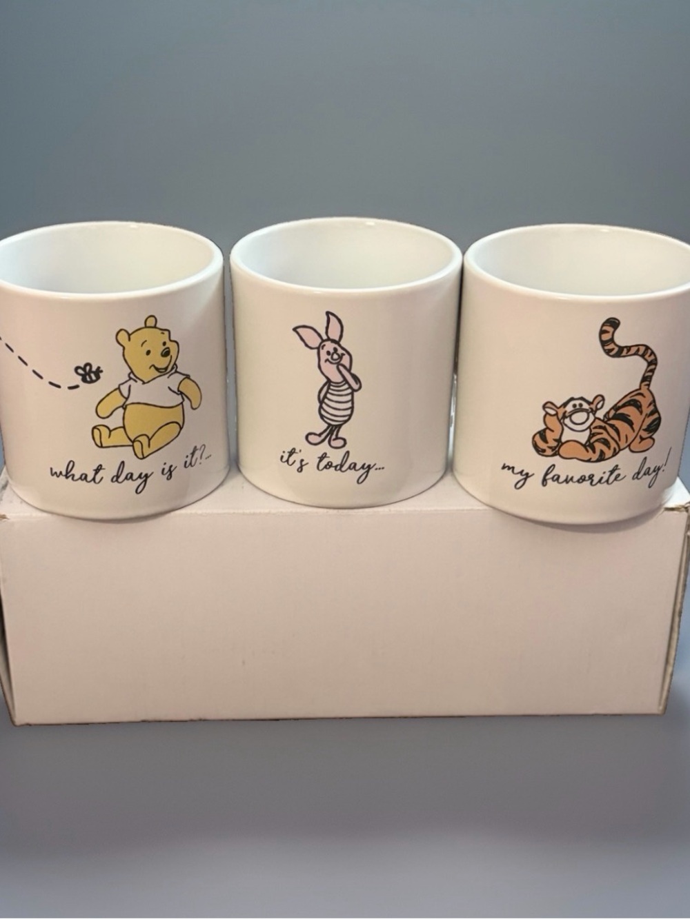 Disney Winnie the Pooh Piglet Tigger Plant Pots Set of 3 - New